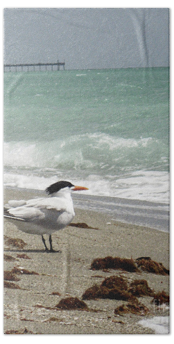 Florida Bath Towel featuring the photograph Tern's View GP by Chris Andruskiewicz