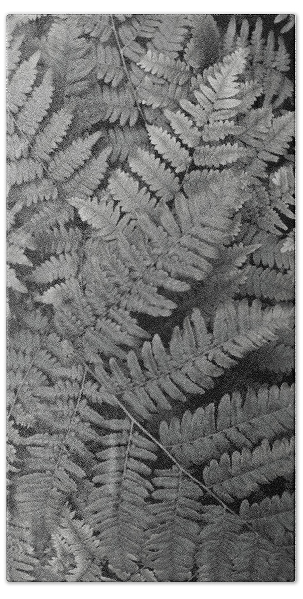 Fern Hand Towel featuring the photograph Textures of the Forest by Holly Ross