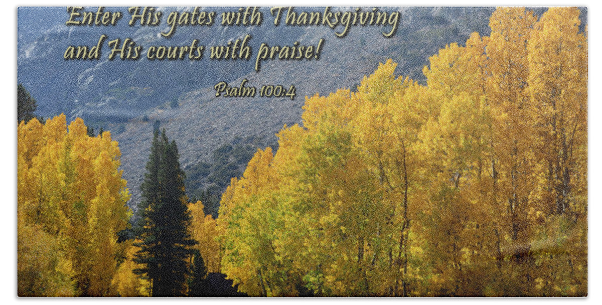 Scripture Bath Towel featuring the photograph Thankful by Brian Tada