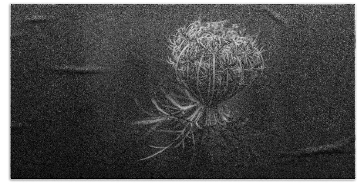Thistle Bath Towel featuring the photograph That Thistle by Ray Congrove