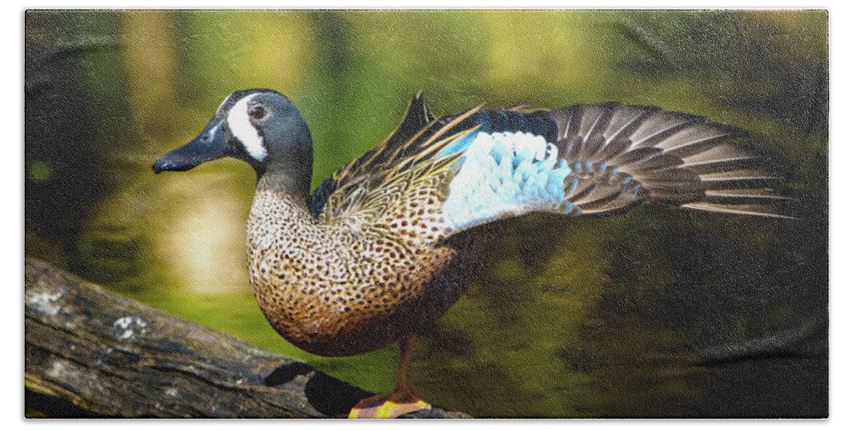 Duck Bath Towel featuring the photograph The Art of the Fan by Mark Andrew Thomas