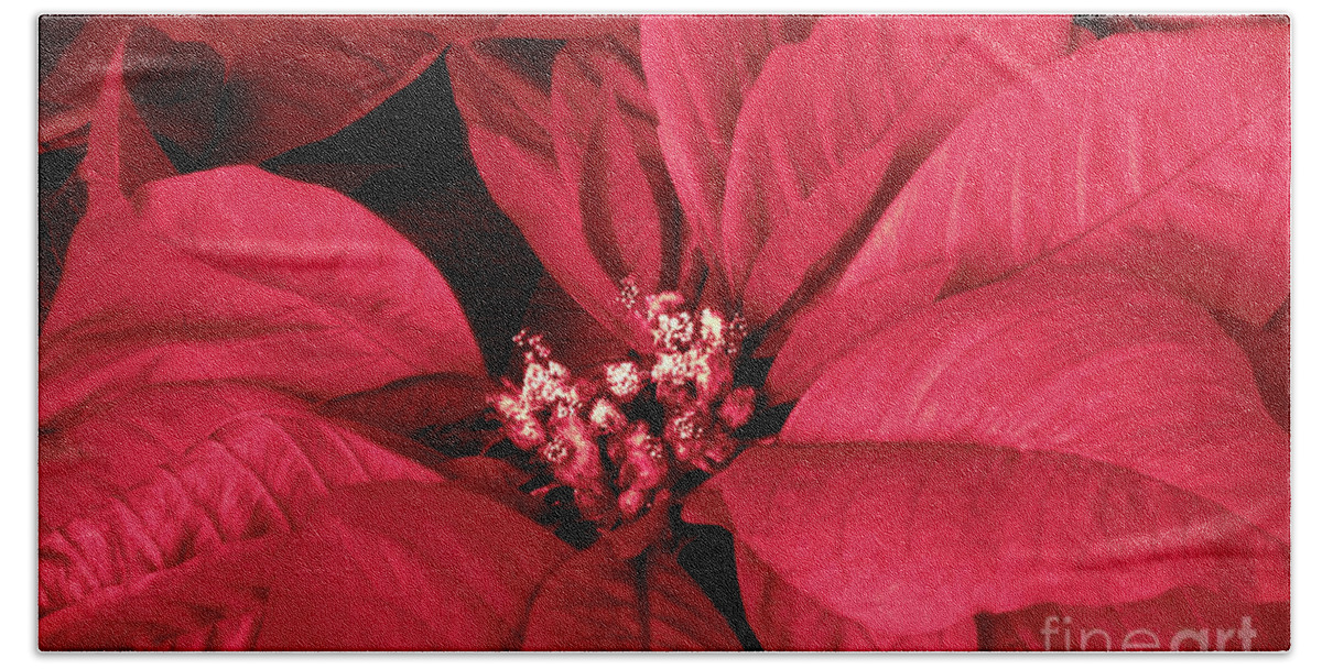 Poinsettia Hand Towel featuring the photograph The Beauty of a Poinsettia Flower by Sherry Hallemeier