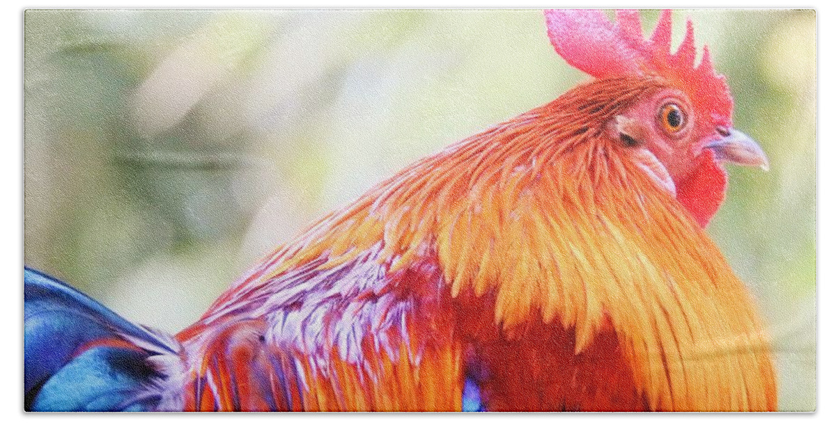 Rooster Bath Towel featuring the photograph The Beauty Of Wild by Jan Gelders