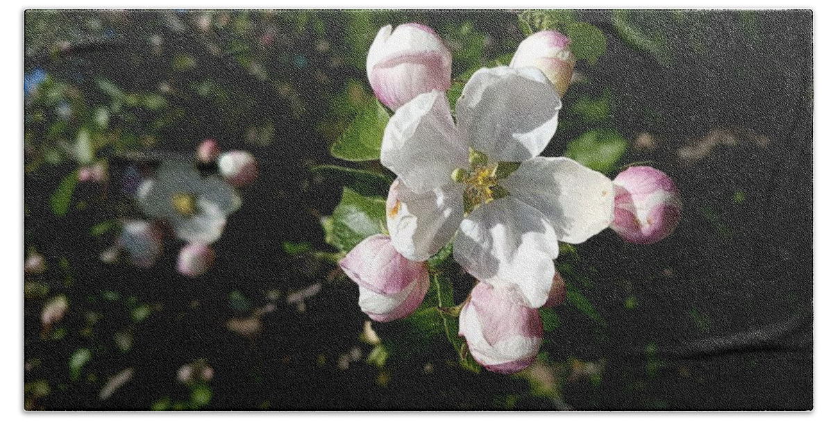 Apple Blossoms Bath Towel featuring the photograph The beginning of a crispy apple by Thomas Nay