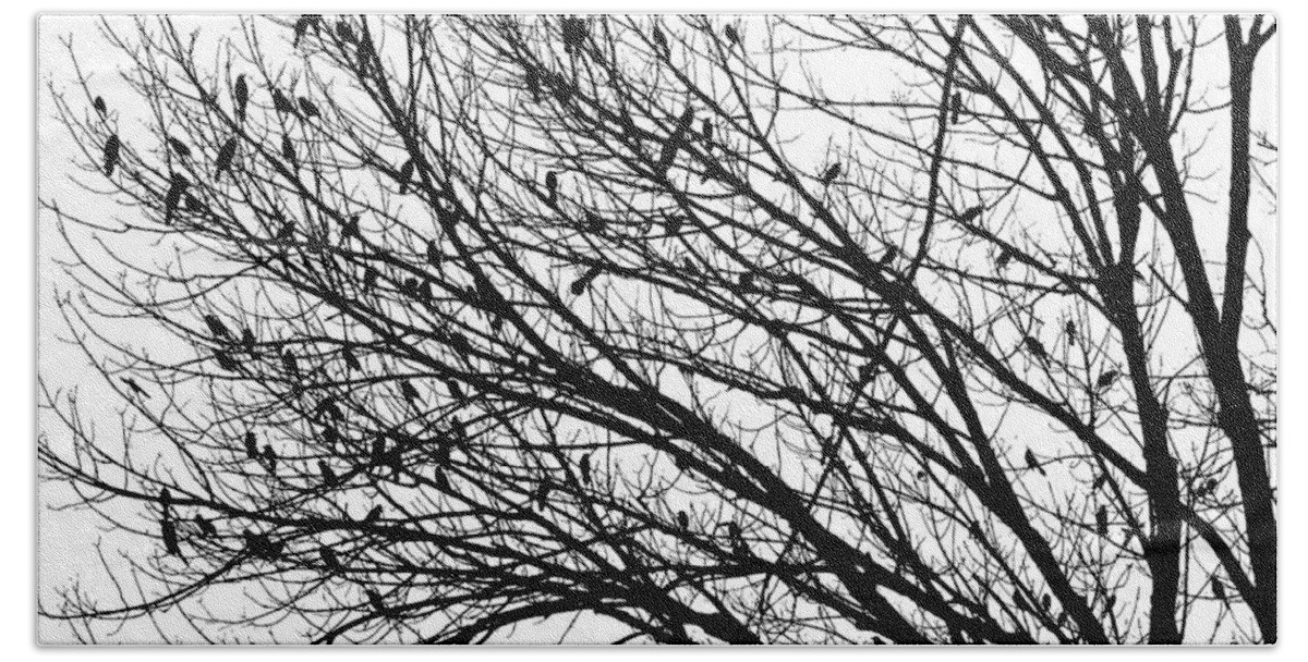 Birds Tree Trees Black And White A An Photo Art Artist Artistic Photograph Photographic Craig Walters Fine Contrast Landscape Forest Woods Life Hand Towel featuring the digital art The Birds by Craig Walters