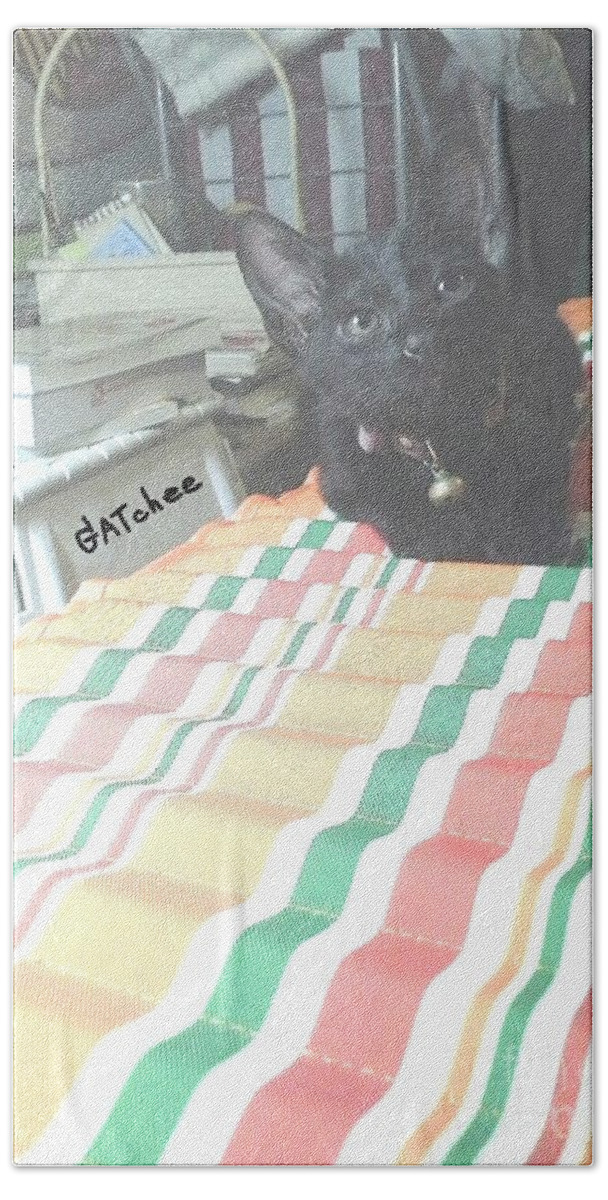 Black Bath Towel featuring the photograph The Black Kitten by Sukalya Chearanantana