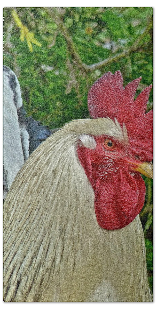Roosters Bath Sheet featuring the photograph The Boss by Diana Hatcher