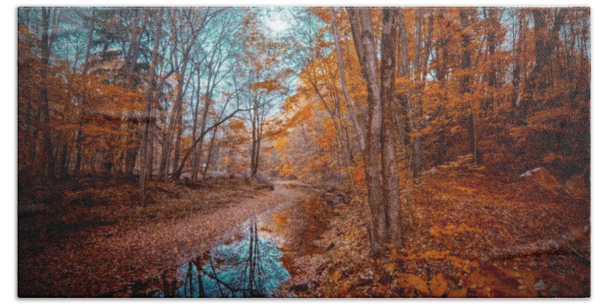  Landscapes Hand Towel featuring the digital art The Color of Fall by Linda Unger