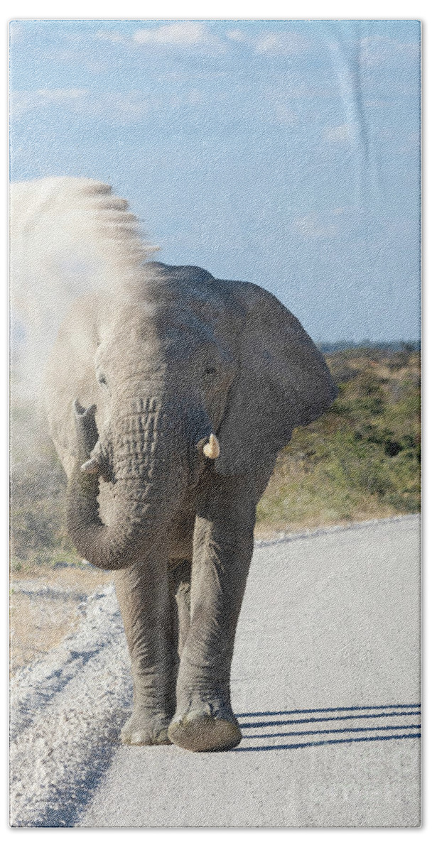 Wildlife Bath Towel featuring the photograph The Dust Bath - Namibia, Africa by Sandra Bronstein