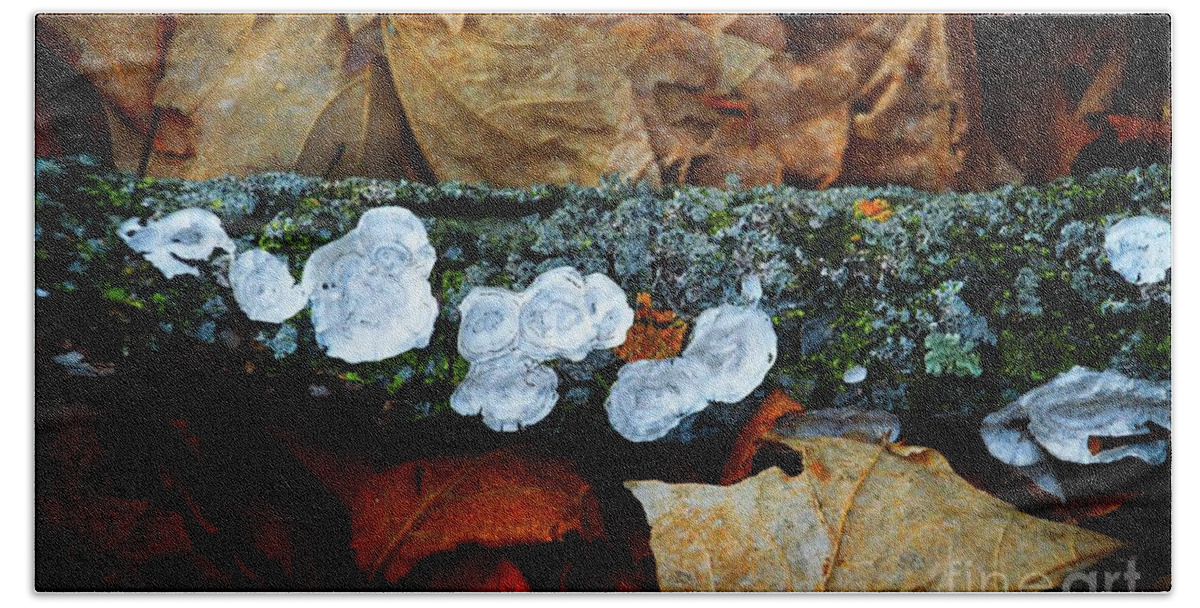 The Forest Floor Bath Towel featuring the photograph The Forest Floor - Cascade WI by Mary Machare