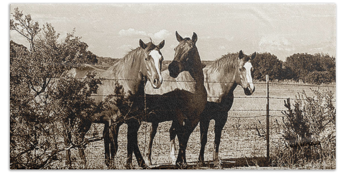 Horse Bath Towel featuring the photograph The Girlz sepia by Toma Caul