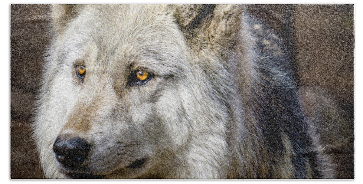 Animal Hand Towel featuring the photograph The Gray Wolf by Teri Virbickis