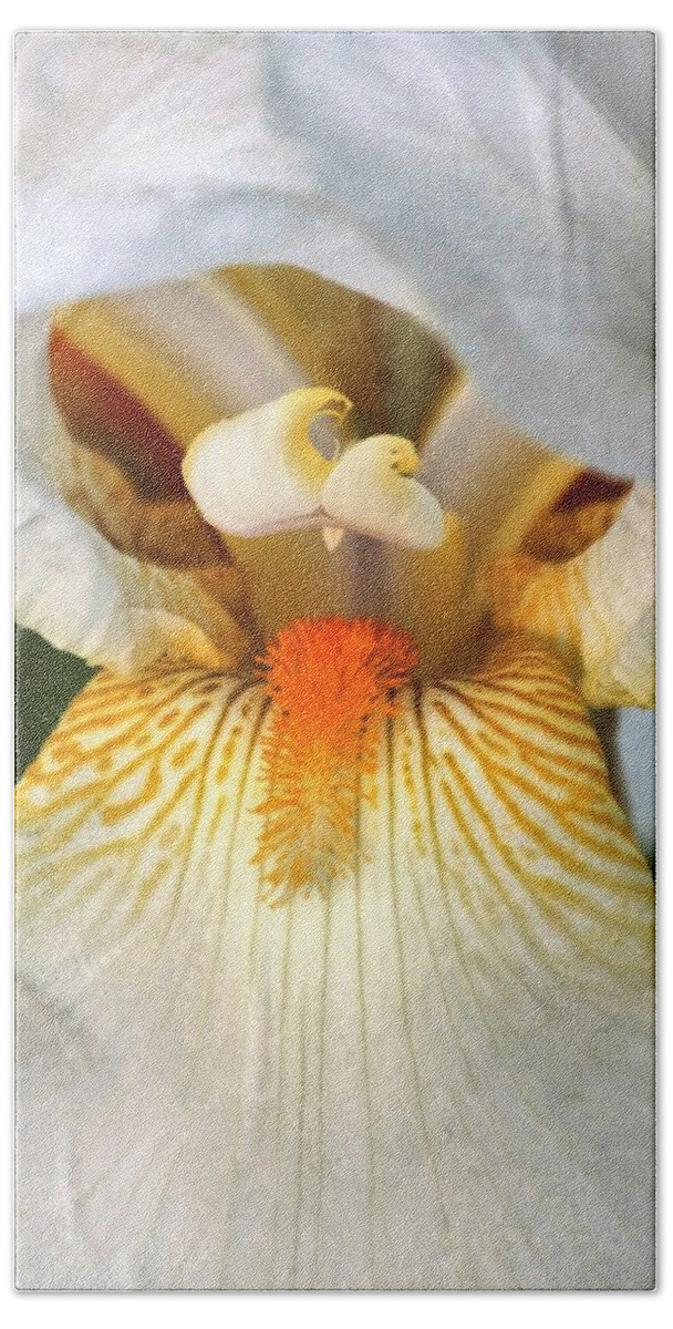Nature Bath Towel featuring the photograph The Heart of a Bearded Iris by Sheila Brown