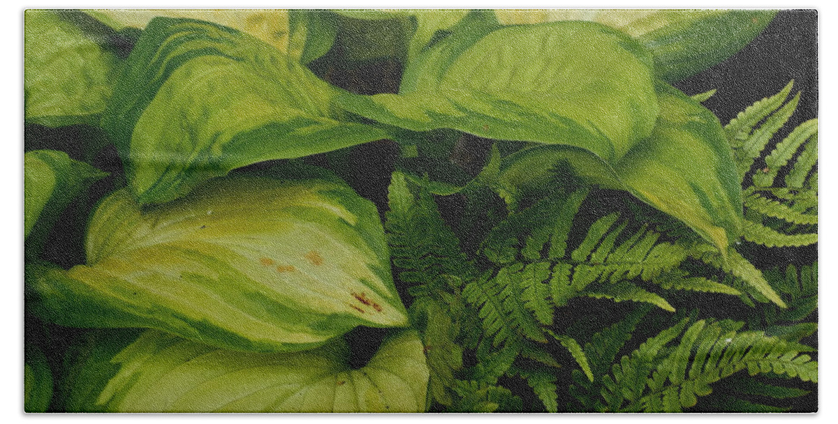 Green Hand Towel featuring the photograph The Hostas and The Fern by Jimmy Chuck Smith
