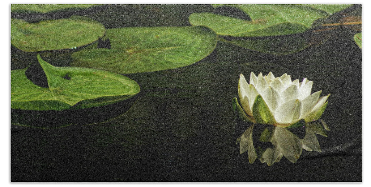 Lotus Bath Towel featuring the photograph The Illuminated Lotus by Cameron Wood