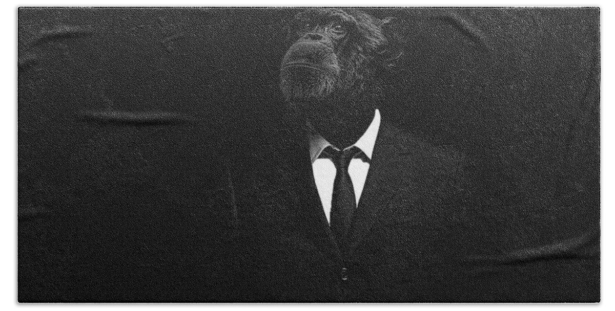 Chimpanzee Wildlife Nature Suit Human Trepidation Primate Low Key Portrait Bath Towel featuring the photograph The interview by Paul Neville