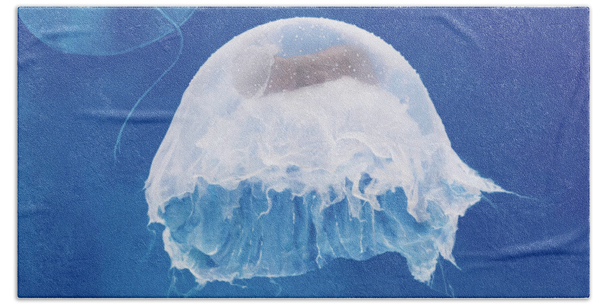 Under The Sea Bath Towel featuring the photograph The Jellyfish Nursery by Anne Geddes