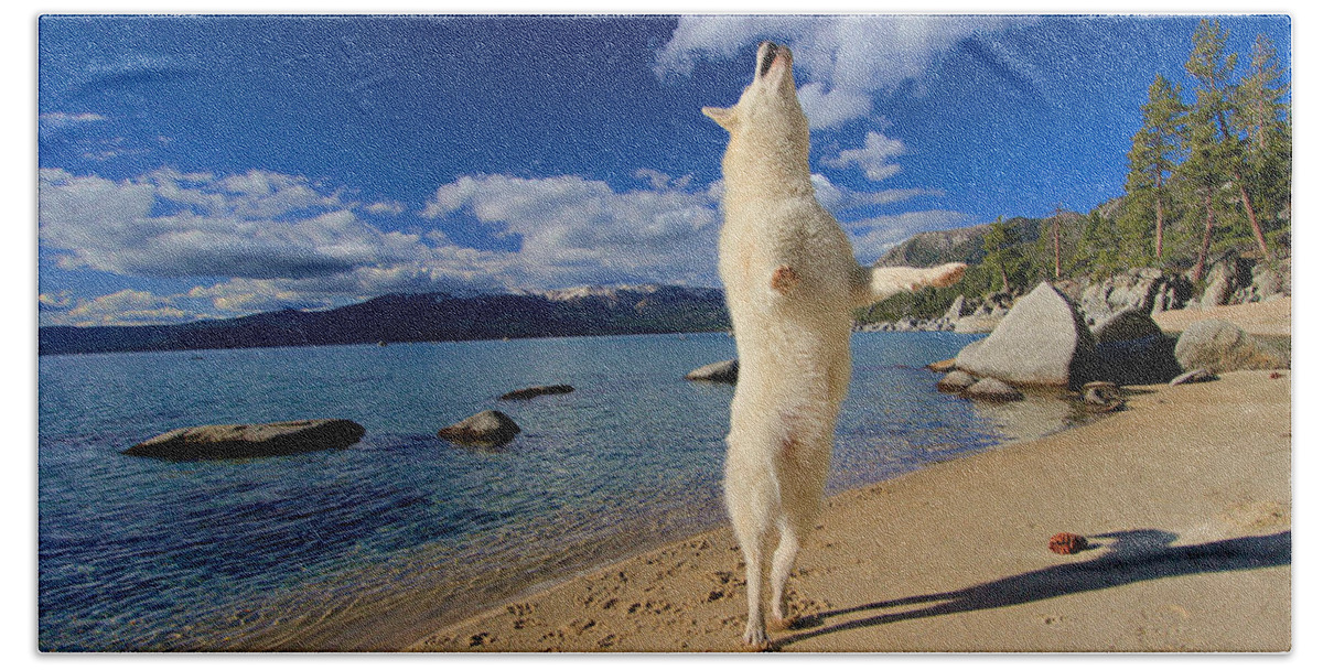 Lake Tahoe Bath Towel featuring the photograph The Joy of Being Well Loved by Sean Sarsfield