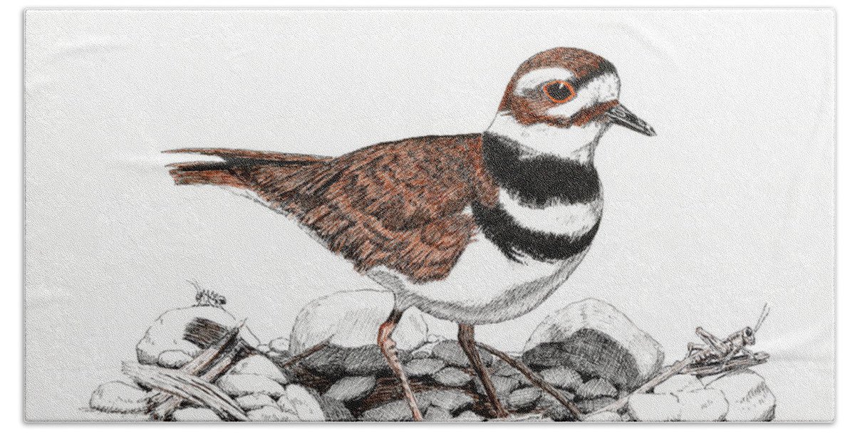 Birds Hand Towel featuring the drawing The Killdeer by Timothy Livingston