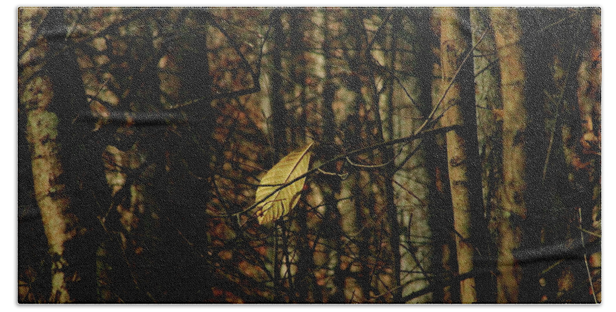 Autumn Bath Towel featuring the photograph The Last Leaf by Bruce Patrick Smith