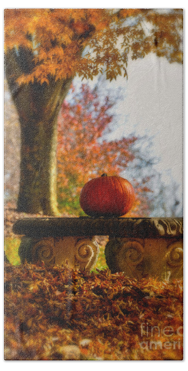 Pumpkin Hand Towel featuring the photograph The Last Pumpkin by Lois Bryan