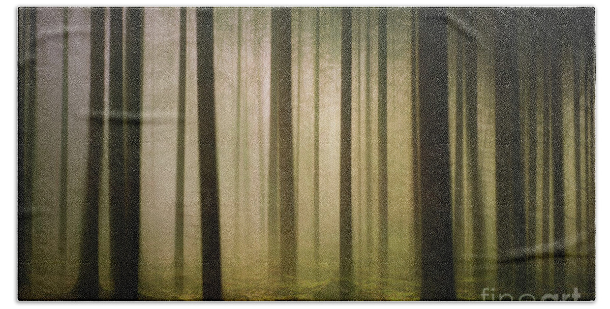 Nature Bath Towel featuring the photograph The Light in the Woods by David Lichtneker