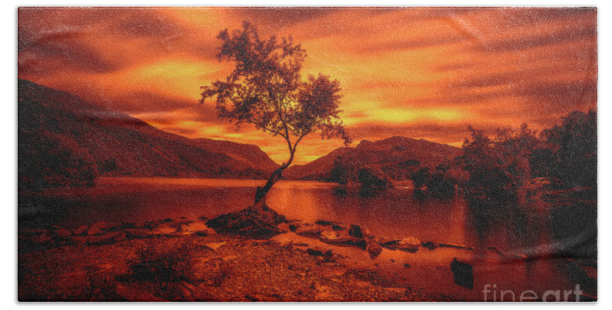 Llyn Padarn Bath Towel featuring the photograph The lonely tree at Llyn Padarn lake - Part 3 by Mariusz Talarek