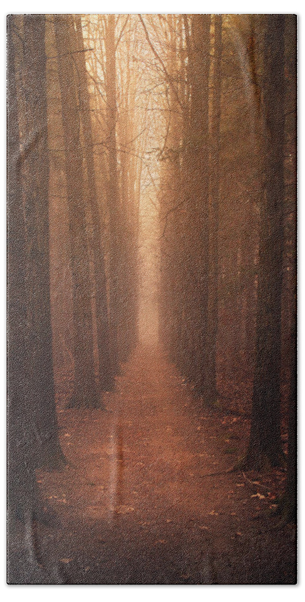 Trees Hand Towel featuring the photograph The Narrow Path by Rob Blair