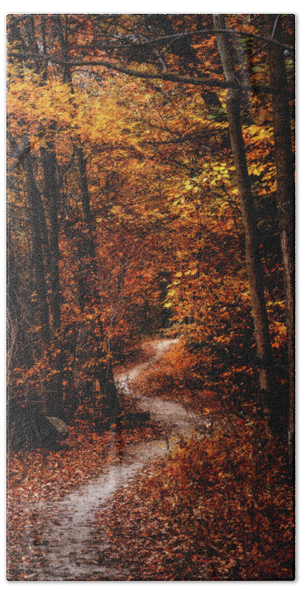 Landscape Bath Towel featuring the photograph The Narrow Path by Scott Norris