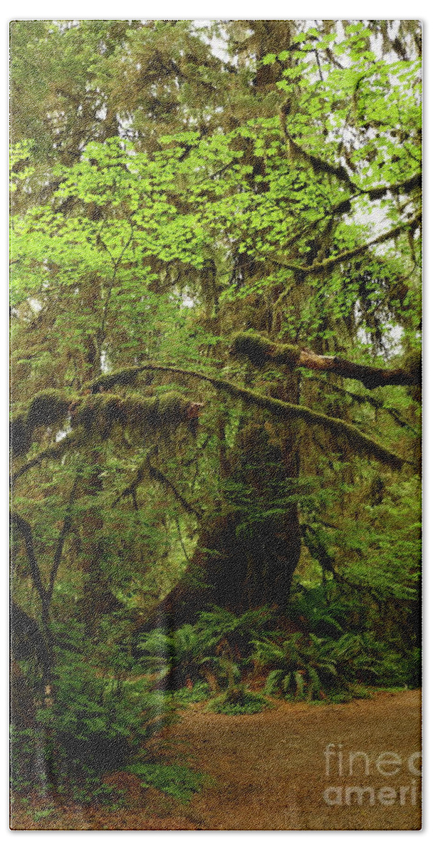 Fern Bath Towel featuring the photograph The Opulence Of The Rainforest by Christiane Schulze Art And Photography