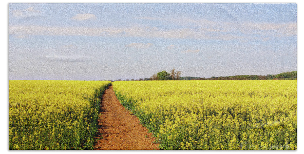Canola Bath Towel featuring the photograph The Path to Bosworth Field by John Edwards