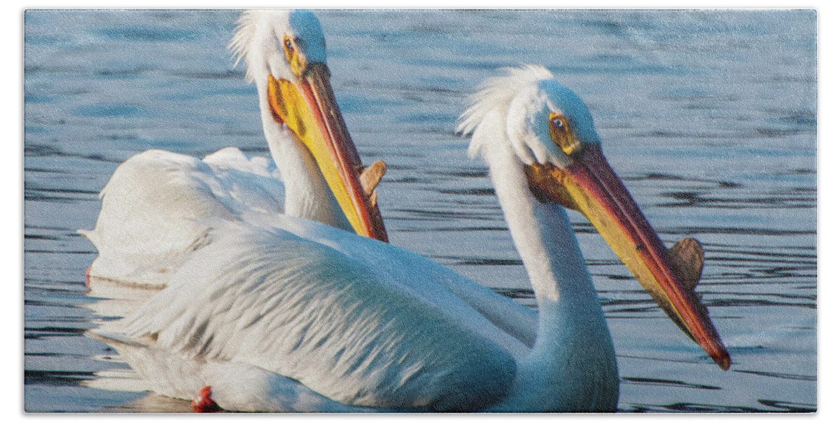 Pelicans Hand Towel featuring the photograph The Pelican Couple by John Roach
