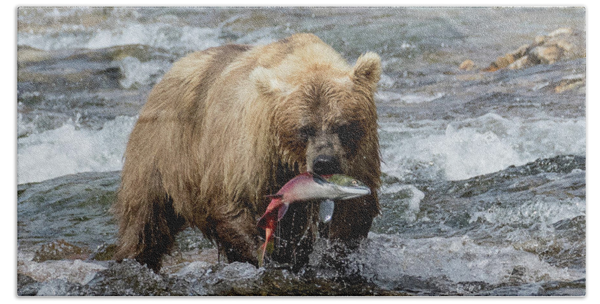 Alaska Hand Towel featuring the photograph The Perfect Catch by Cheryl Strahl