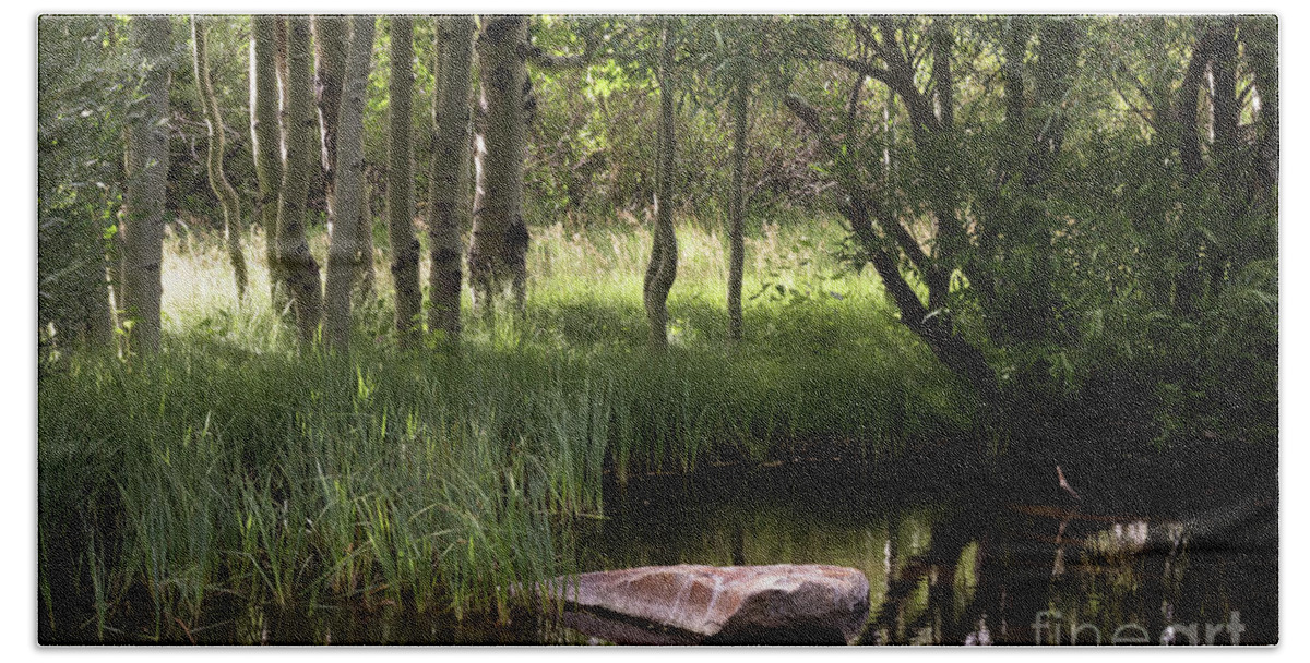 Rock Bath Towel featuring the photograph The Pond by Brandon Bonafede