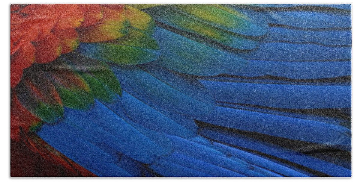 Scarlet Macaw Bath Towel featuring the photograph The Power Of Color by Fraida Gutovich
