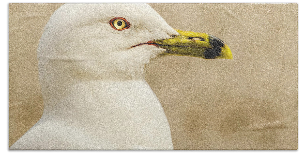 Great Lakes Gull Bath Towel featuring the photograph The Proud Gull by John Roach