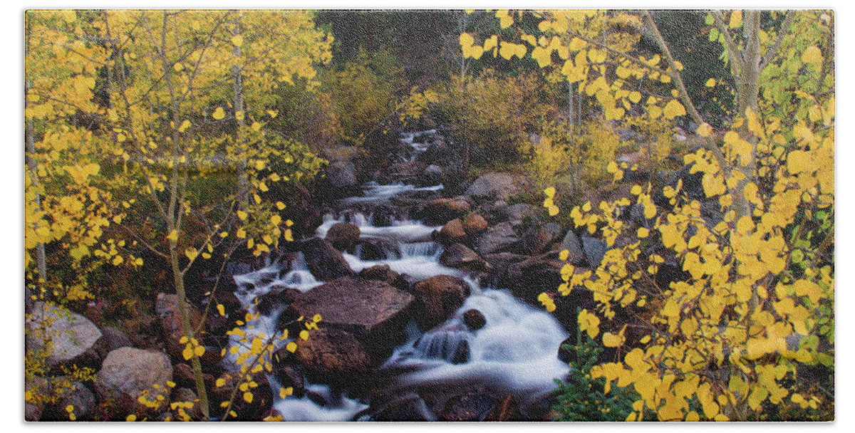 Aspen Hand Towel featuring the photograph The River Of Gold by John De Bord