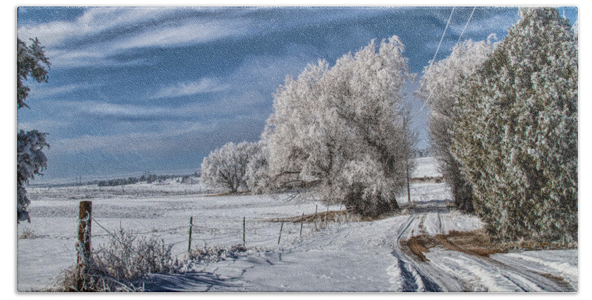 Winter Hand Towel featuring the photograph The Road Home by Alana Thrower
