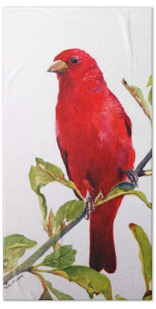 Scarlett Red Tanager Perched On A Tree Branch. Wildlife Hand Towel featuring the painting The Scarlett Tanager by Brenda Beck Fisher