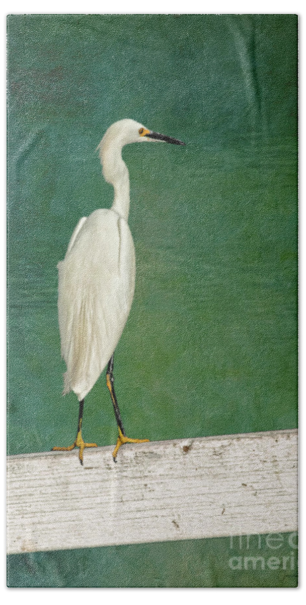 Bird Hand Towel featuring the photograph The Small White Heron - Snowy Egret by Gabriele Pomykaj