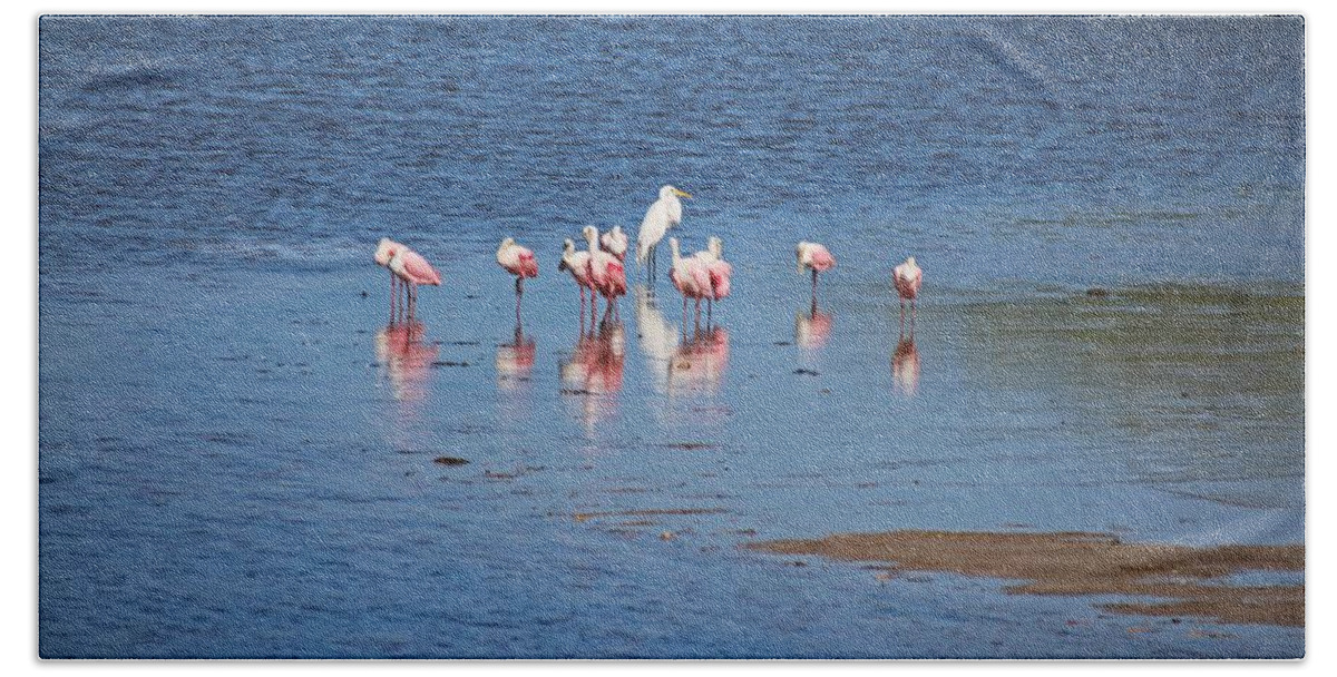 Pink Bath Towel featuring the photograph The Spoonbill Legend Lingers III by Michiale Schneider
