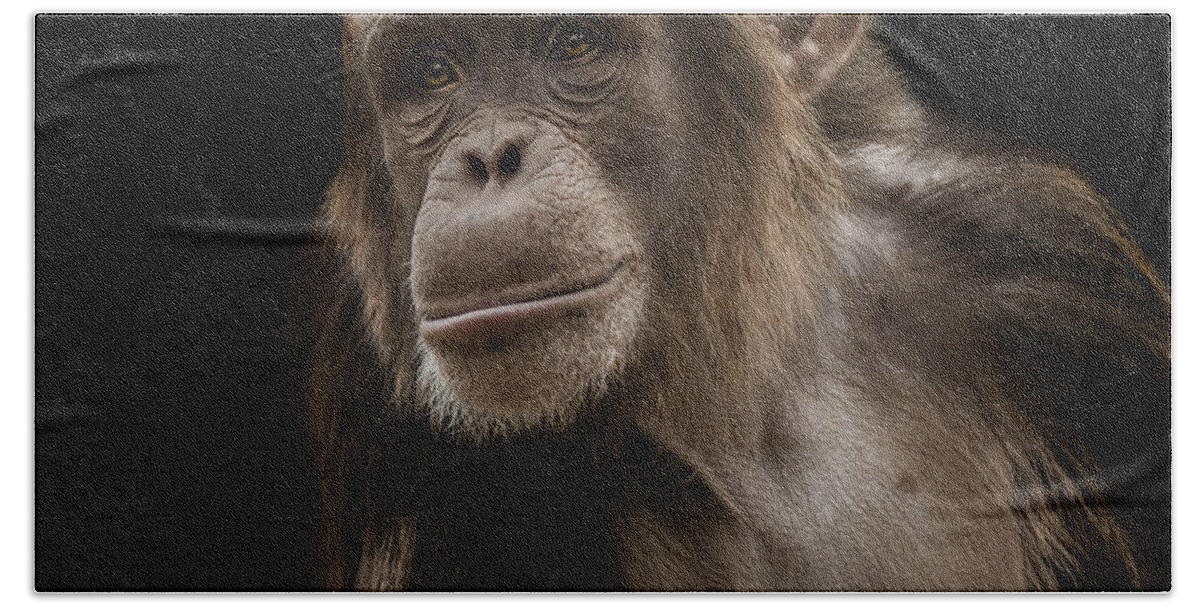 Chimpanzee Bath Towel featuring the photograph The Storyteller by Paul Neville