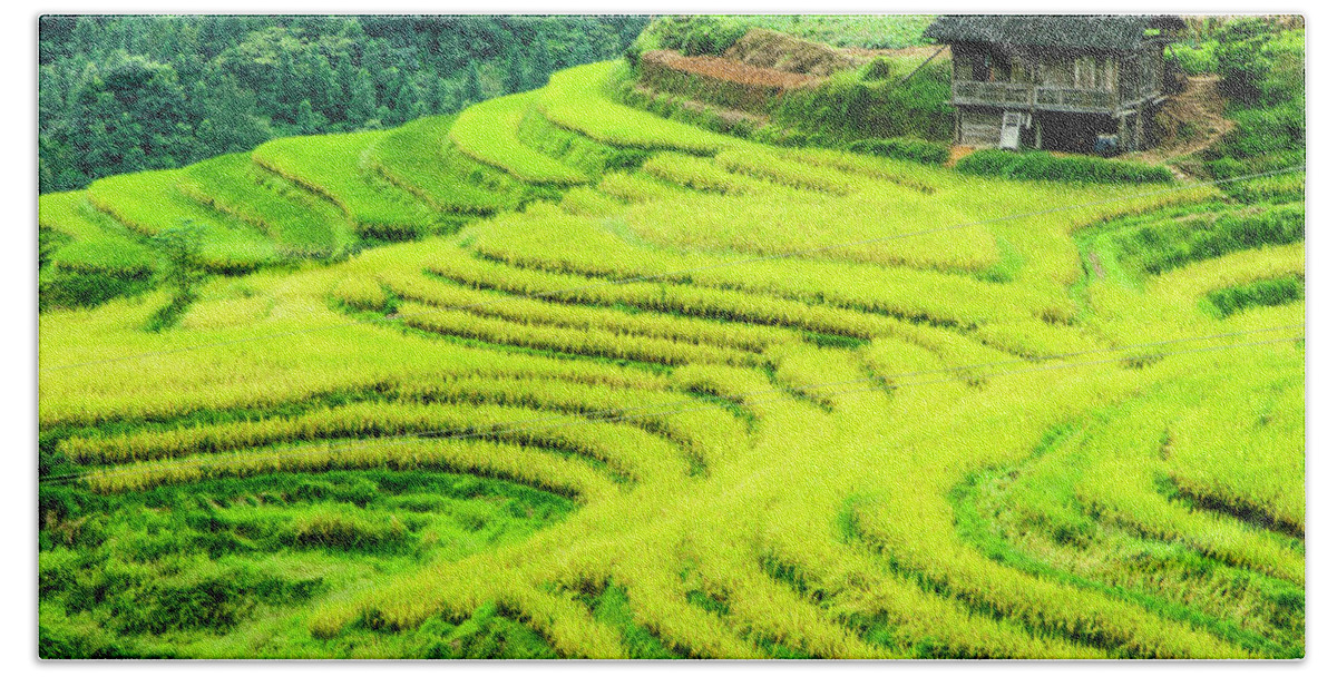Rice Hand Towel featuring the photograph The terraced fields scenery in autumn by Carl Ning