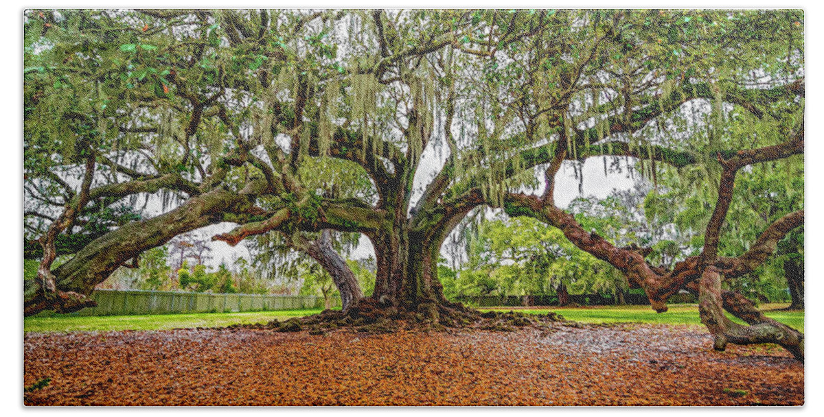 New Orleans Bath Towel featuring the photograph The Tree of Life by Steve Harrington