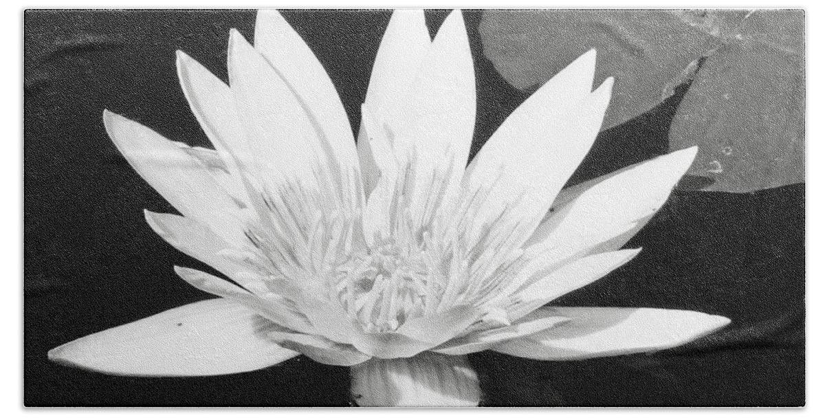 Water Lily Bath Towel featuring the photograph The Vintage Lily II by Melanie Moraga