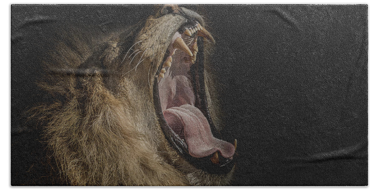 Lion Hand Towel featuring the photograph The War Cry by Paul Neville