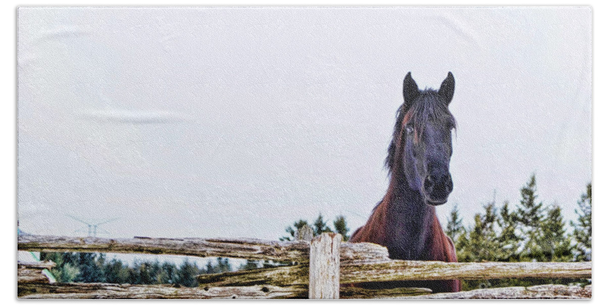 Horse Hand Towel featuring the photograph The Watcher 2 by Traci Cottingham