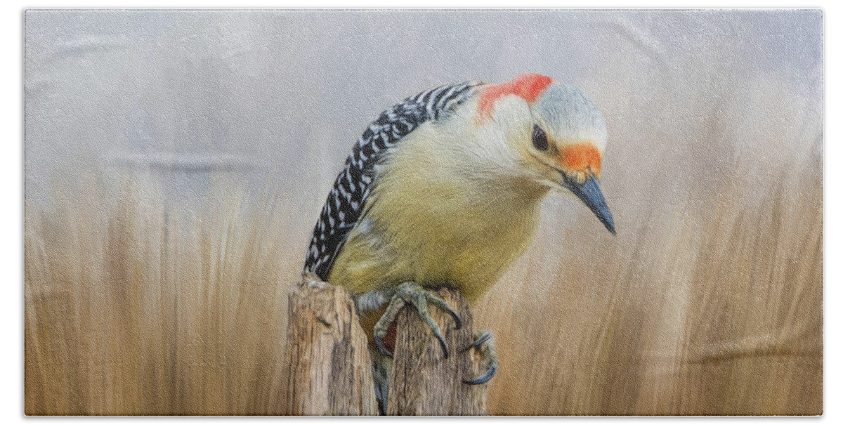 Woodpecker Bath Towel featuring the photograph The Woodpecker by Cathy Kovarik