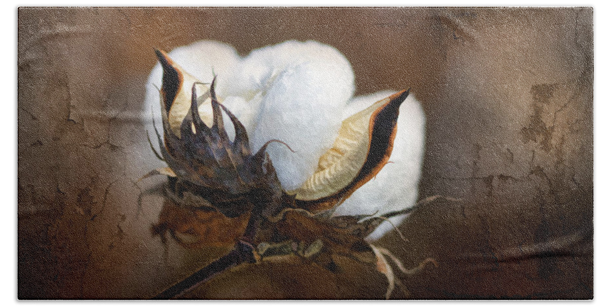 Cotton Hand Towel featuring the photograph Them Cotton Bolls by Kathy Clark