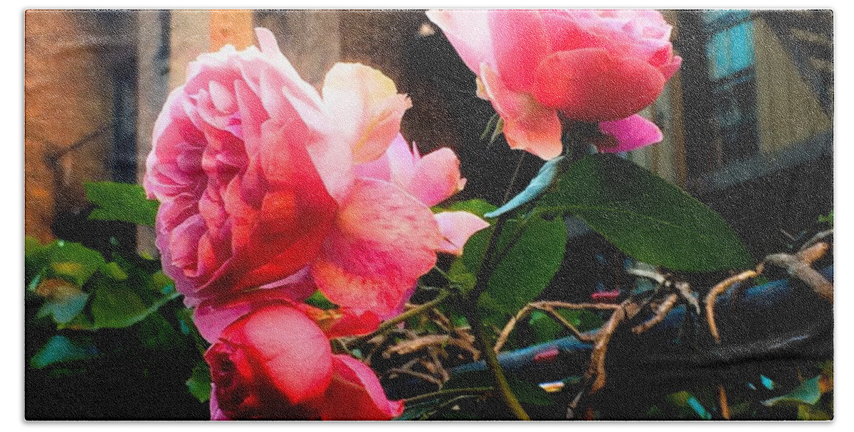 Rose Bath Towel featuring the photograph There is a Rose in Spanish Harlem by Miriam Danar